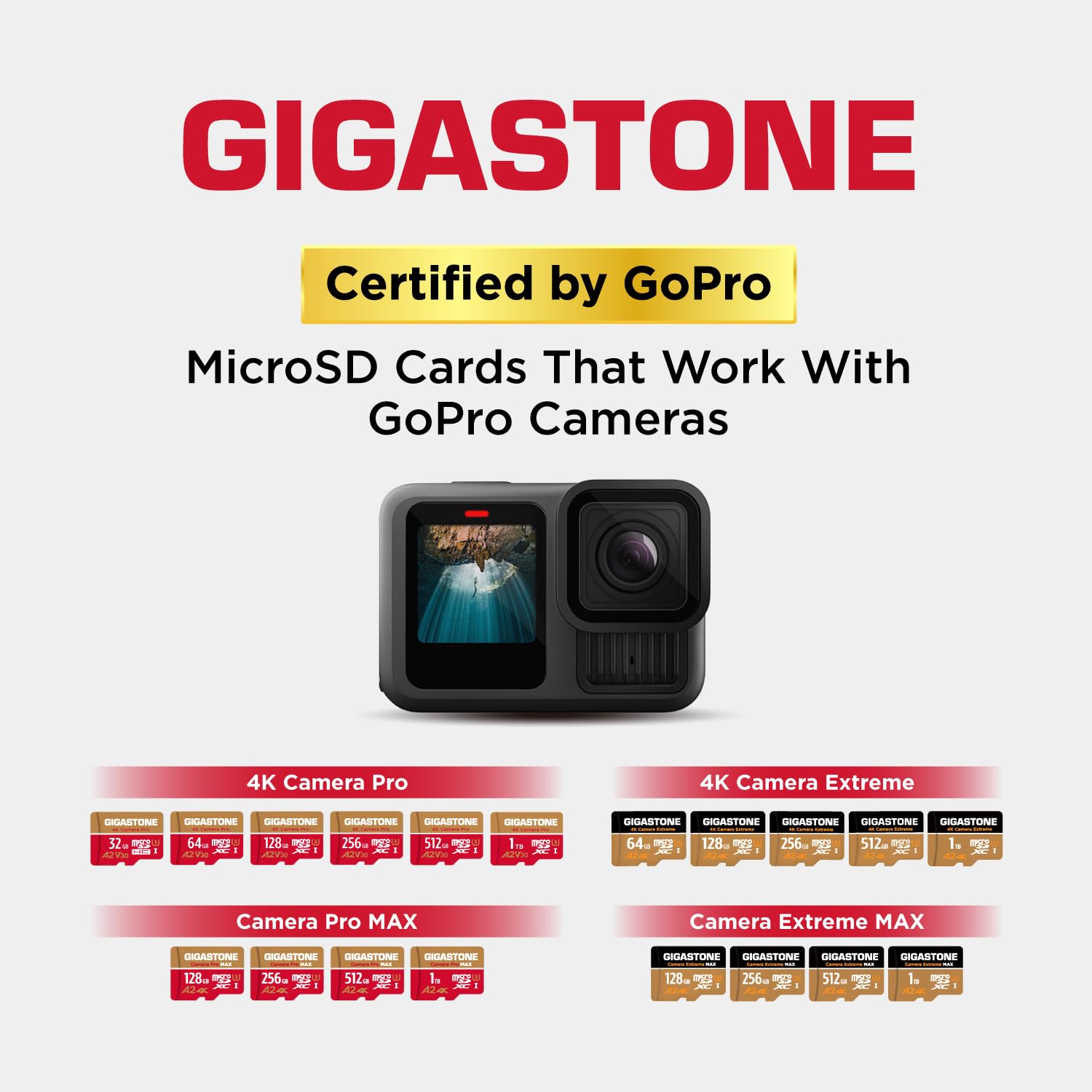 [5-Yrs Free Data Recovery] GIGASTONE 1TB Micro SD Card, 4K Camera Pro MAX, 4K Video Recording for GoPro, DJI, Drone, R/W up to 160/140 MB/s MicroSDXC Memory Card UHS-I U3 A2 V30, with Adapter